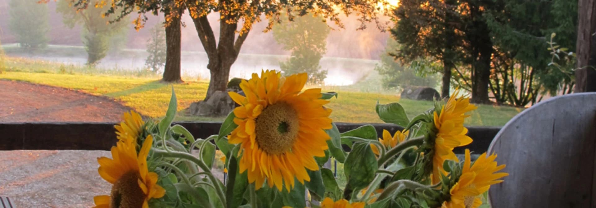 Testimonials section background