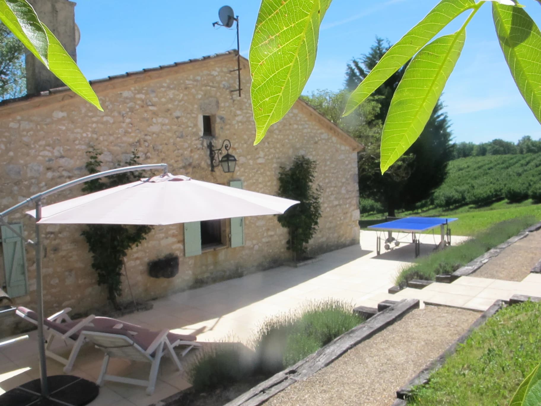 View from the Terrace